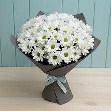 Букет цветов из:  Хризантемы #REPLACE_PRED# Ремонтном