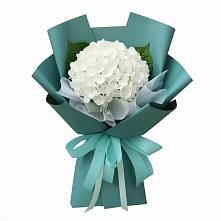 Букет цветов из:  Гортензия в Ремонтном